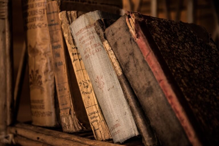 Ruang Baca Perpustakaan Kota Pagar Alam: Menyediakan Sarana Literasi untuk Masyarakat